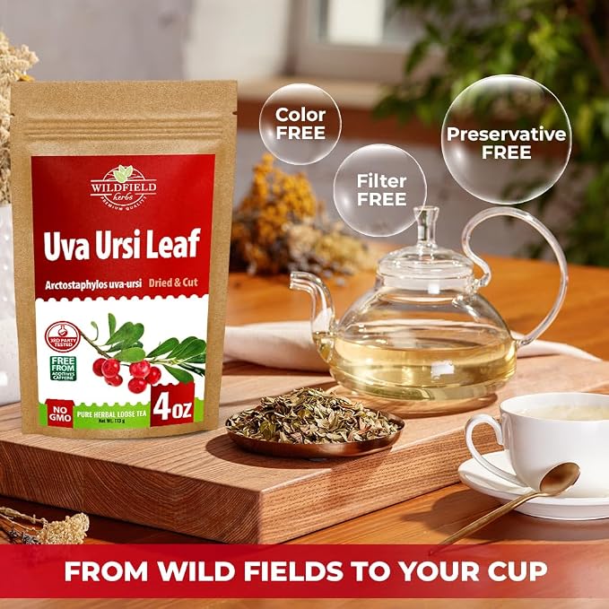 4 oz. Uva Ursi Leaf Bearberry Tea Herbal (Arctostaphylos Uva-Ursi) - 113g Uva-Ursi Herb Tea Arctostaphylos Uva-Ursi