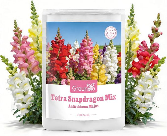 Groundio Mix Snapdragon Seeds Tetra, 1500+ Vibrant Perennial Snapdragons Mixed Colors, Annual Wildflower Seeds, Ideal for Garden, Containers (Antirrhinum Majus)