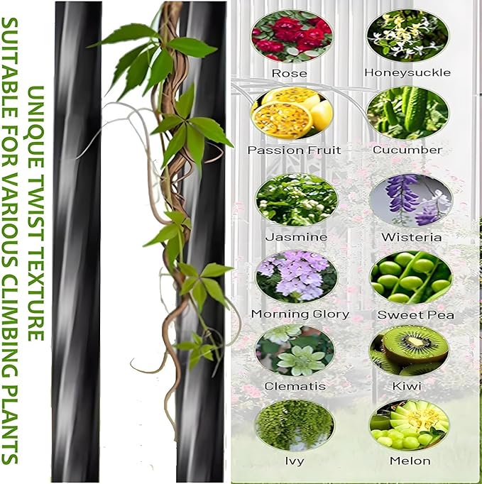 Half Sided Arch Against The Wall Garden Trellis, Metal Arbor Archway for Climbing Plants Outdoor, 7.9FT 8.7FT Black Vine Frame Rose Support for Home Yard and Garden(60x240x50cm)