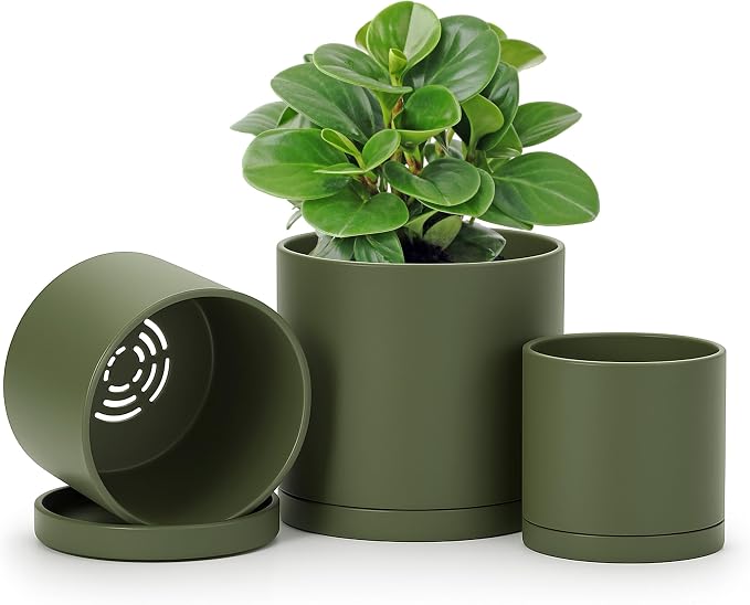 D'vine Dev 4 Inch 5 Inch 6 Inch, Set of 3 Plastic Planter Pots for Plants with Drainage Hole and Seamless Saucers, Olive, Small, 74-V-I-1