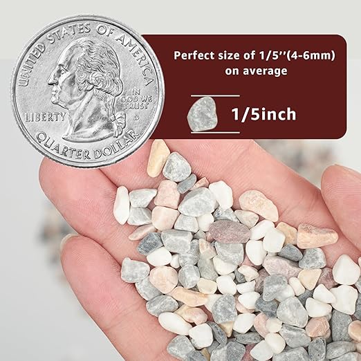 5lbs Natural Gravel Pebbles for Succulents and Cacti, 1/5 Inch Decorative River Stones – Perfect for Vases, Aquariums, Terrariums, and Outdoor Gardening, Mixed Colors (Mixed, 20 Pounds)