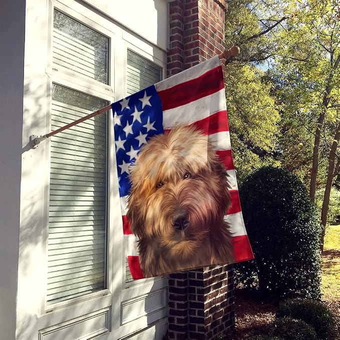Caroline's Treasures CK6461CHF Briard Dog American Flag House Flag Large Porch Sleeve Pole Decorative Outside Yard Banner Artwork Wall Hanging, Polyester, House Size, Multicolor