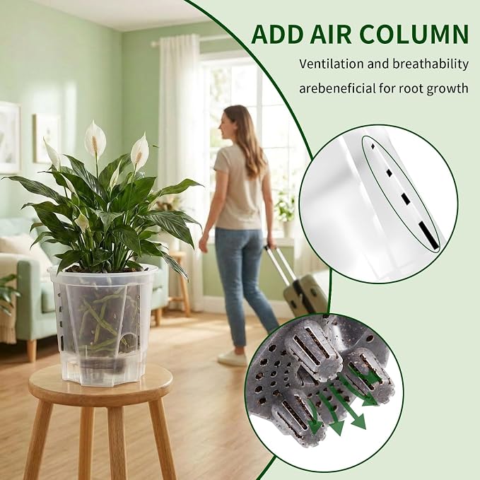 Cdd's Path 6 Inch Clear Self Watering Pots Set, 12 Pack Naked Root Planter with Deep Water Tank, Large Drainage Holes, Reservoir & Air Pipes for Indoor Outdoor Plants, Flowers, Seedlings
