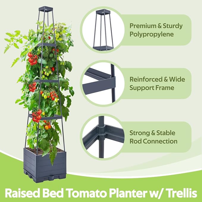 Self Watering Tomato Planter for Growing Tomatoes - 55" Raised Garden Bed Planter Box with Trellis for Climbing Plants - Tomato Support Cage for Vine Vegetables Flowers Greenhouse Indoor Outdoor
