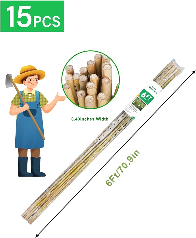 Natural Bamboo Plant Stake（6FT 15Pcs） Sturdy Bamboo Poles, Durable Plant Bamboo Stake, Garden Climbing Plant Bracket.