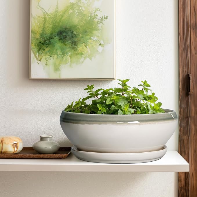 SQOWL Large Succulent Planters - 12 Inch Ceramic Bonsai Pots with Drainage Hole and Saucer, Shallow Round Planter for Indoor Plants, Bowl Planter Outdoor, Living Room Decor, Birthday Gift, Gray-Beige