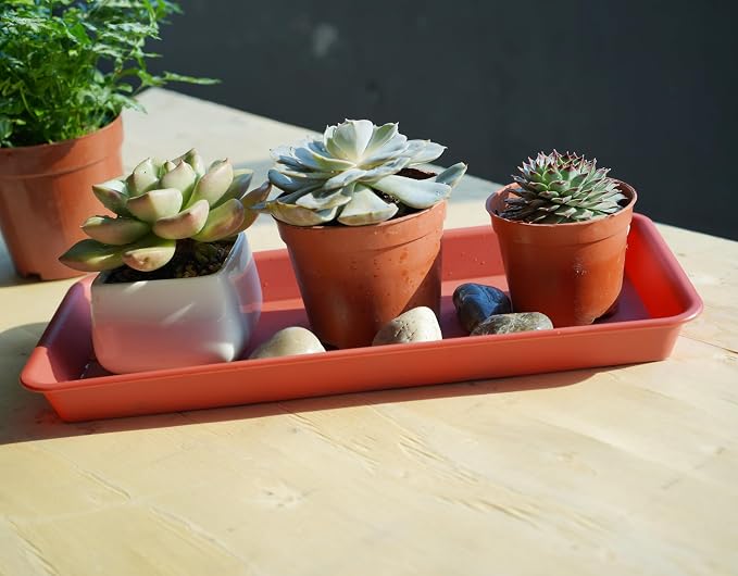 VUWEZ 6 Pack Rectangular Plastic Plant Tray Saucer, Terracotta, 6 X 11 Inch, 100lbs Weight Capacity, Indoor/Outdoor, Windowsill Planter Tray