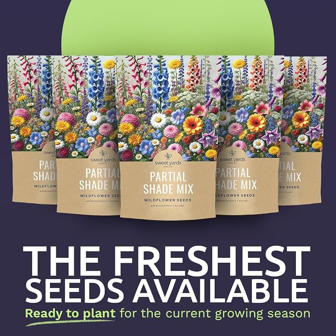 Bulk Wildflower Seeds Partial Shade Mix - 5 Pounds - Over 600,000 Open Pollinated Annual and Perennial Seeds