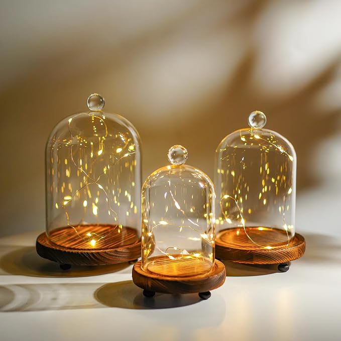 Set of 3 Decorative Glass Cloche Bell Jars with Wooden Bases, Assorted Sizes for Table Centerpieces, Seasonal Decorations and Home Accents