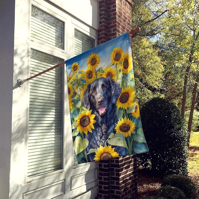 Caroline's Treasures DAC6064CHF Curly-Coated Retriever in Sunflowers House Flag Large Porch Sleeve Pole Decorative Outside Yard Banner Artwork Wall Hanging, Polyester, House Size, Multicolor