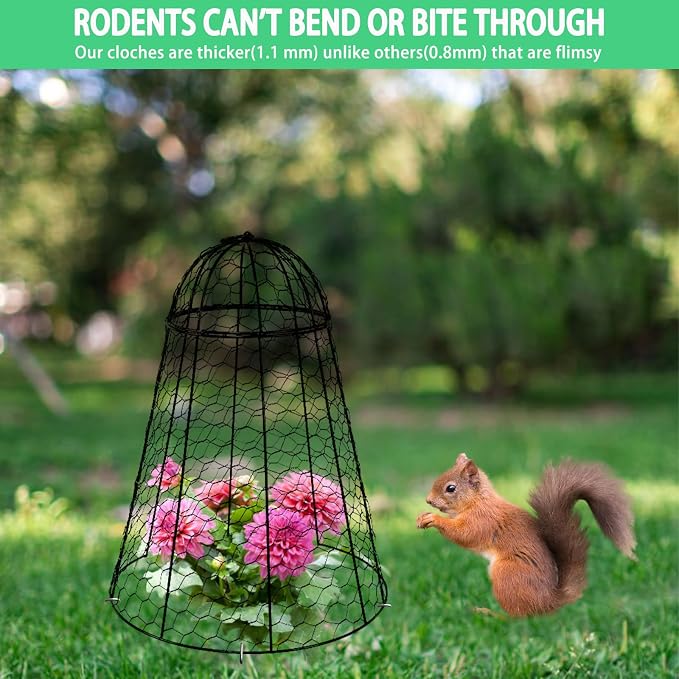 Garden Cloches for Plants Extra Large Sapbontchi Garden Cloche Chicken Wire Cloche for Plants Cages Cover Plant Protectors from Animals in Outdoor Vegetable Garden Set of 6 Plant Cloche 20" H x 12" D