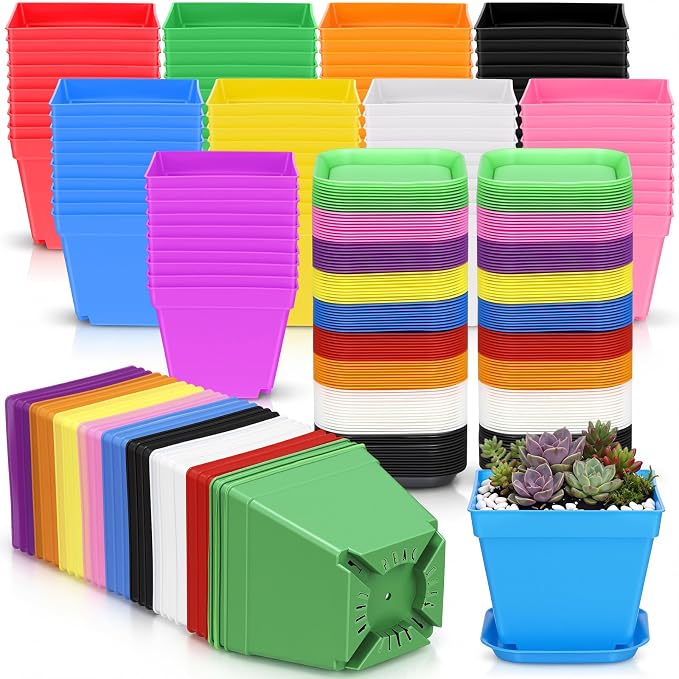 Amyhill 100 Pcs 4 Inch Flower Pots Square Plants Nursery Pot Plastic Plant Seedling Pots Small Nursery Transplanting Planter Container with Saucer for Indoor Succulent Balcony Garden (Fashion Color)