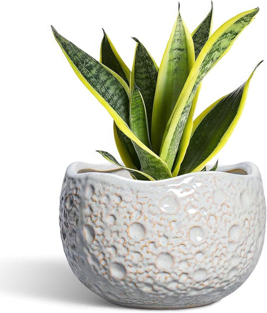 Ceramic Pots for Plants - 8 Inch Planters for Indoor Outdoor Plants, Modern Ceramic Flower Pots with Drainage Hole and Plug, Round Unique Plant Pot, Porch Office Decor, Garden Gifts, Grey