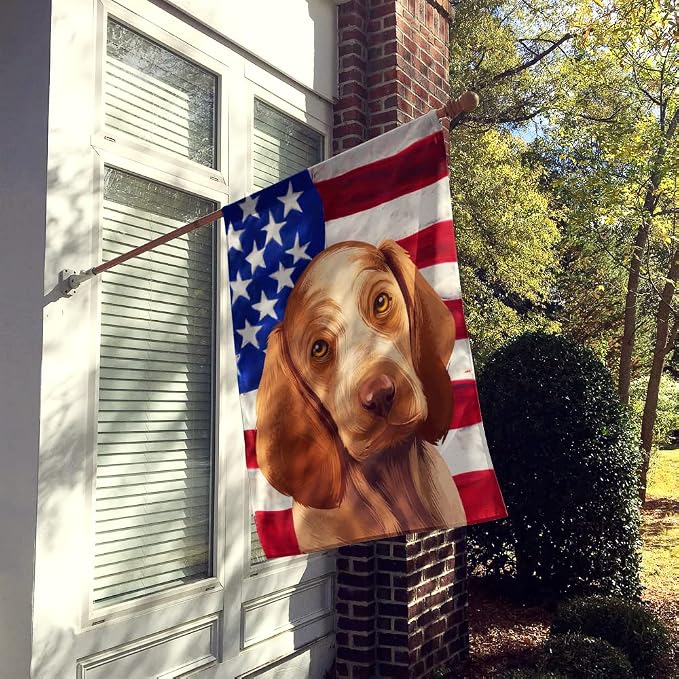 Caroline's Treasures CK6456CHF Bracco Italiano Dog American Flag House Flag Large Porch Sleeve Pole Decorative Outside Yard Banner Artwork Wall Hanging, Polyester, House Size, Multicolor