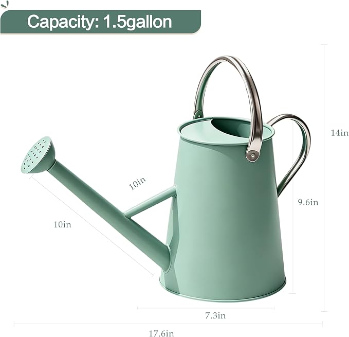 Metal Watering Can with Stainless Steel Handle for Outdoor and Indoor Plants, Watering Can Decor, 1.5 Gallon (Cream Green)