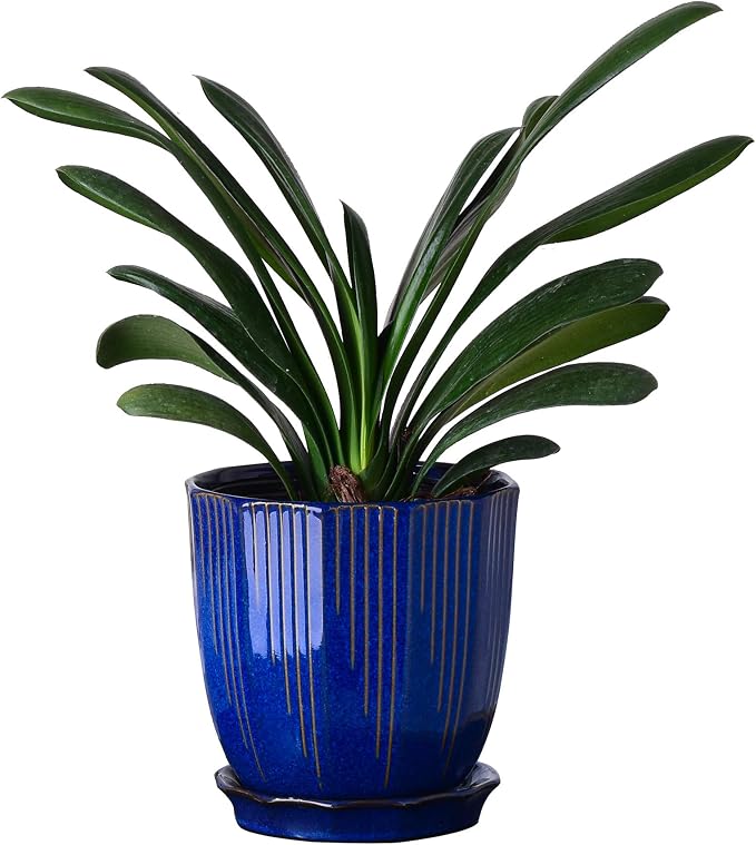 ADN Ceramic Flower Pots Indoor with Saucer - 6 Inch Plant Pot, Hand Glazed Ceramic Planter for All House Plants with Drainage Hole and Tray, Navy