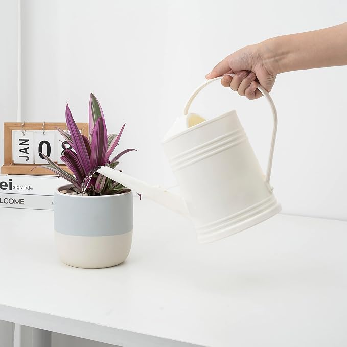 Plastic Indoor Watering Can with Sprinkler Head - 68 oz, 1/2 Gallon