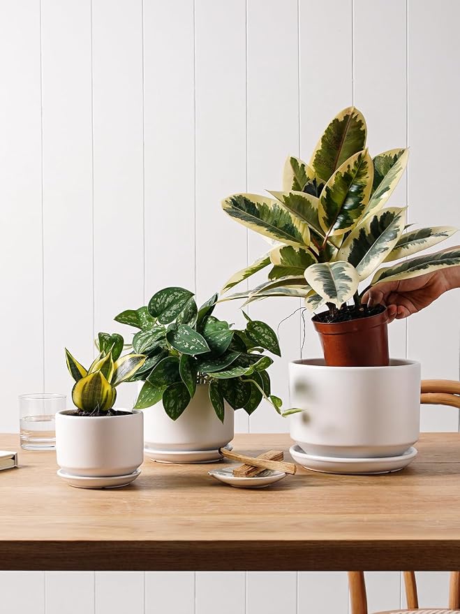 LE TAUCI Ceramic Pots for Plants, 4.3+5.3+6.8 Inch Plant Pots, Indoor Planters with Drainage Hole and Saucer for Succulents, Herbs and Flowers, Set of 3, Satin, White
