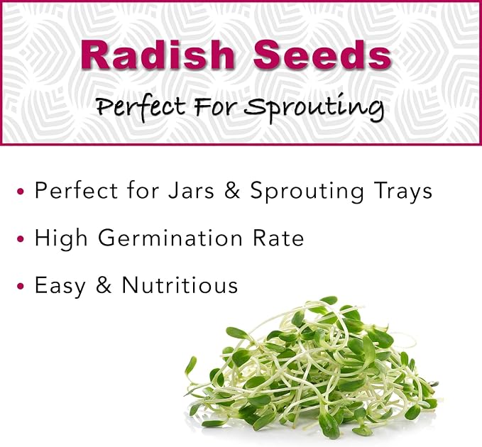 1 lb Radish Sprouting Seeds - Perfect for Sprouting & Microgreens - Healthy, Delicious, and Spicy - USA Grown
