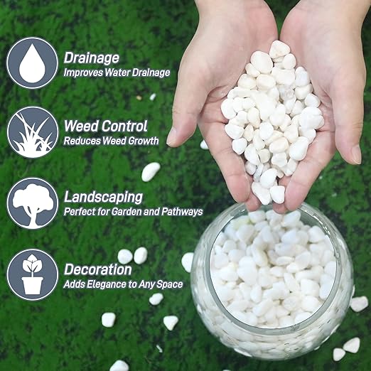 Mulctun 2Lb White Rocks for Plants, 1/4"-3/4" White Pebbles, Decorative Stones for Vases, Small Aquarium Gravel for Fish Tank Garden Rocks for Potted Plants & Home Decor