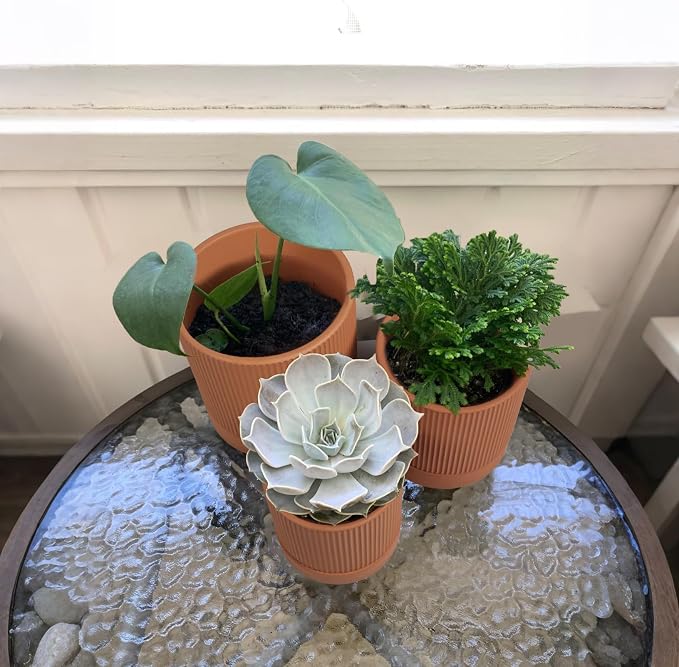 HERDUK Modern Terra Cotta Pots, 6 Inch 5.1 Inch 4 Inch Ribbed Textured Clay Planter Set with Drainage Holes & Saucers, Garden Pots for Indoor/Ourdoor Plants Succulent, Cactus & Herb