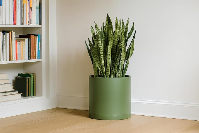 D'vine Dev 14 Inch Plastic Planter Pots for Plant Pot with Drainage Hole and Seamless Saucers, Olive, 74-X-I-4