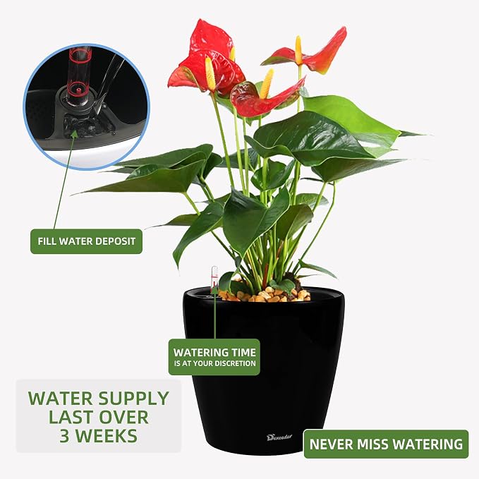 Dexceder 18x17 Self Watering Planter with Wheels (Black Matte) | Inner Pot Design, Thickened Large Floor Standing Flower Plant Pot with Water Level Indicator Indoor Outdoor