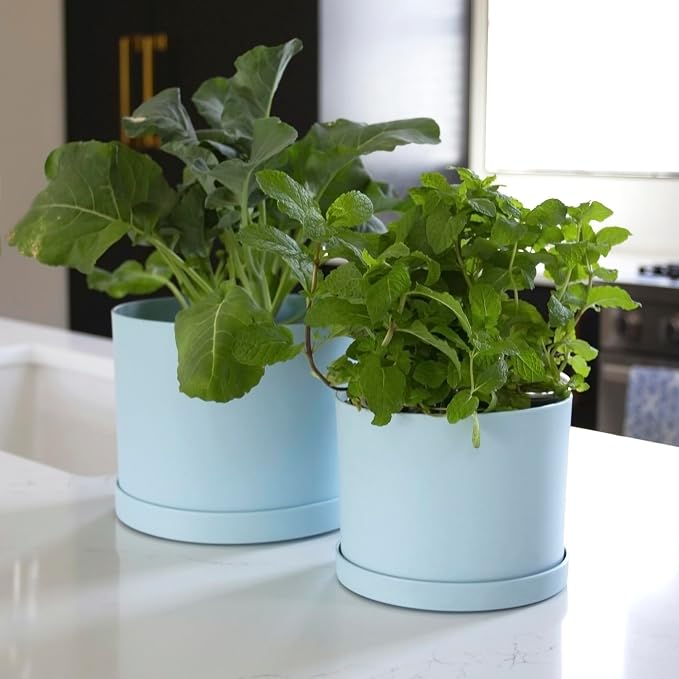 Bloem Mathers Planter w/Saucer Tray 8" Misty Blue