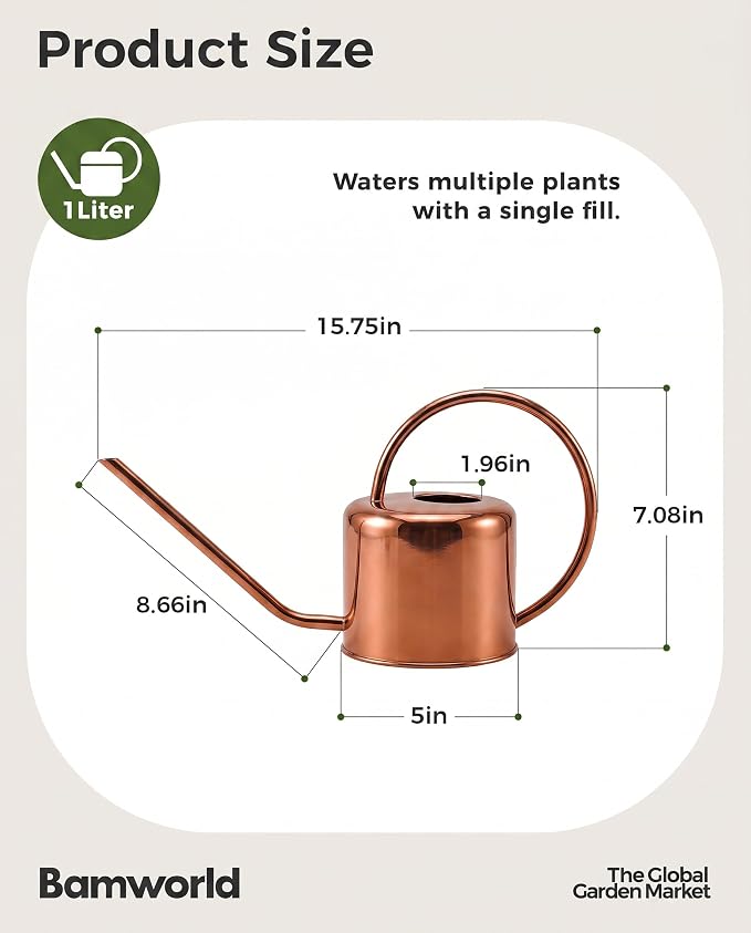 Bamworld Metal Watering Can Indoor Plants 1L 33oz Gold Stainless Steel Watering Can with Long Spout for House Potted Plants Succulents Bonsai Garden Flowers