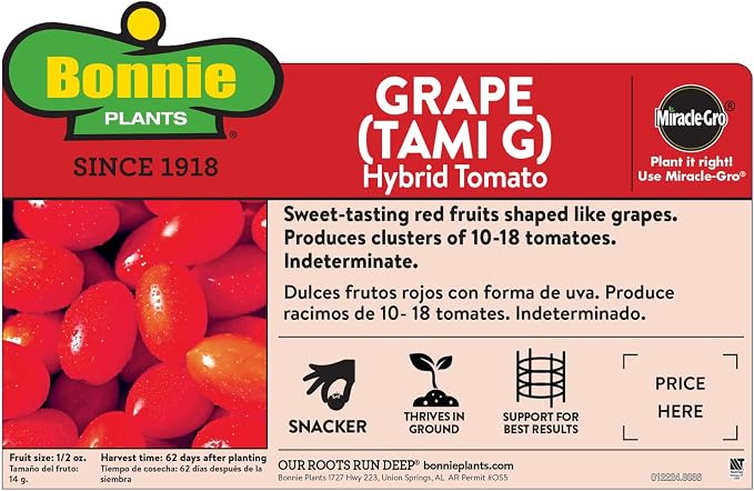 Bonnie Plants Grape Tomato 19.3 oz. 4 Pack