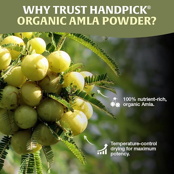 HANDPICK Organic Amla Powder (14oz) Amalaki, USDA Organic, Non-GMO | 100% Raw and Natural - Lab Tested for Purity | Indian Gooseberry Powder | Resealable Zip Lock Pouch (Packaging may vary)