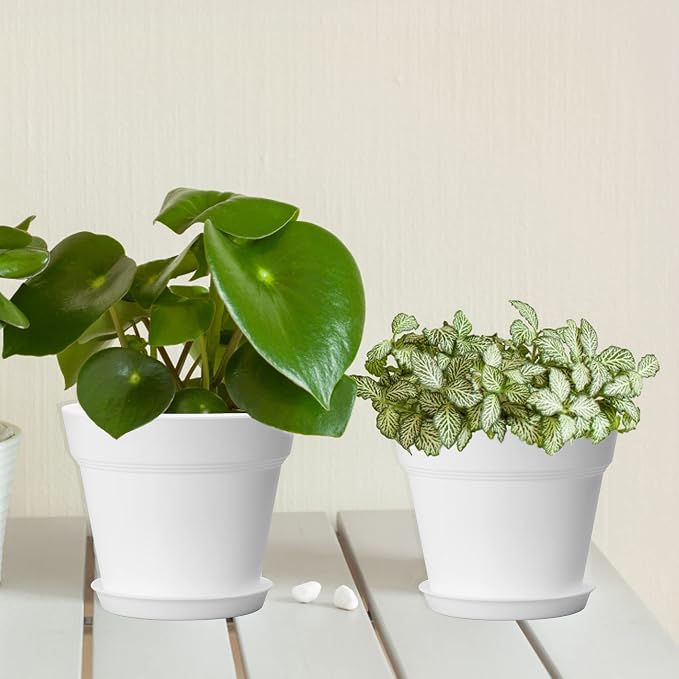 10 Pack Plastic Plant Pots with Drainage Holes and Tray, 5 inch Thickened Indoor Planters Seedlings Nursery Pots for Flowers, African Violet, Succulent and All House Plants, White