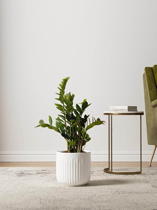 LE TAUCI Ceramic Planters, 8.3/7/6 Inch Indoor Pots for Plants with Drainage Holes & Mesh, Modern Matte Glaze Cylinder Fluted Plant Pot for Snake Plant, Set of 3, White