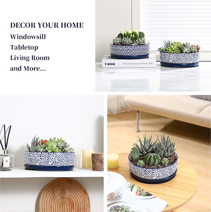 Selamica Ceramic Succulent Pots, Shallow Succulent Planters with Drainage Hole & Saucer, Indoor Plant Pots for Cactus, Home Decor，Vintage Blue, 8 inch，Set of 2