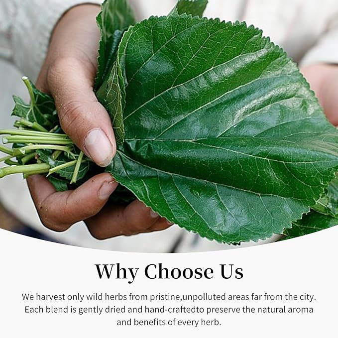 Baihuatang Natural Dried Mulberry Leaf 200g/7.05oz Premium Mulberry Leaves (桑叶茶), Sun-Dried, Sugar-Free, Caffeine-Free, No Additive