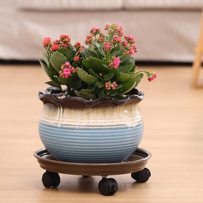5 Packs Plant Caddy with Wheels 11.8" Plastic Rolling Plant Stands Heavy-Duty Plant Dolly with Casters Indoor Outdoor Wheeled Plant Roller Base Large Planter Saucers Plant Mover