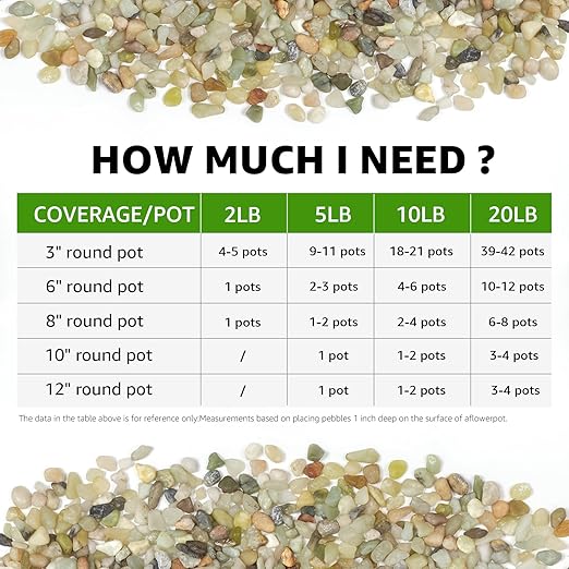 20lbs Natural Gravel Pebbles for Succulents and Cacti, 1/5 Inch Decorative River Stones – Perfect for Vases, Aquariums, Terrariums, and Outdoor Gardening, Mixed Colors (Jade, 20 Pounds)