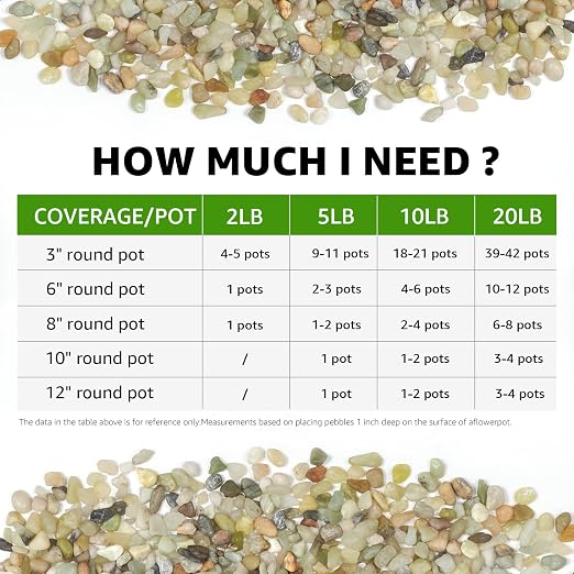 10lbs Natural Gravel Pebbles for Succulents and Cacti, 1/5 Inch Decorative River Stones – Perfect for Vases, Aquariums, Terrariums, and Outdoor Gardening, Mixed Colors (Jade, 10 Pounds)