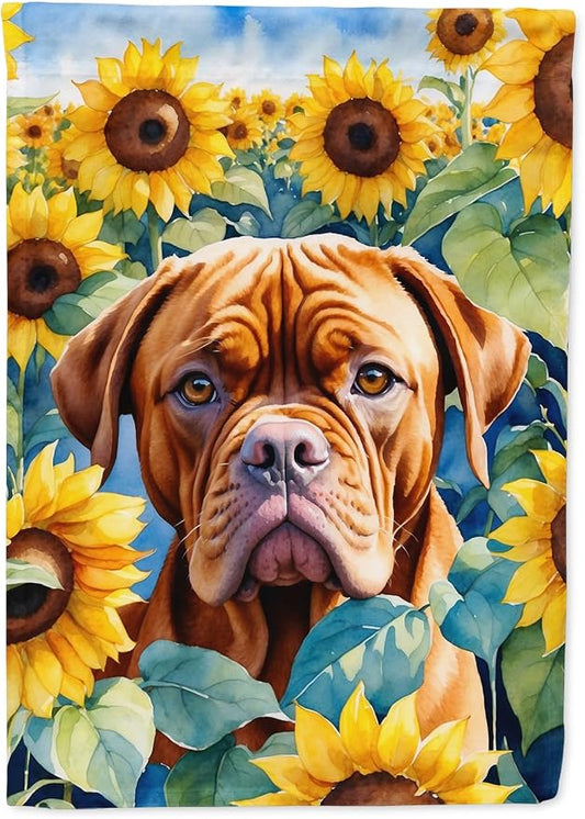 Caroline's Treasures DAC6069CHF Dogue de Bordeaux in Sunflowers House Flag Large Porch Sleeve Pole Decorative Outside Yard Banner Artwork Wall Hanging, Polyester, House Size, Multicolor