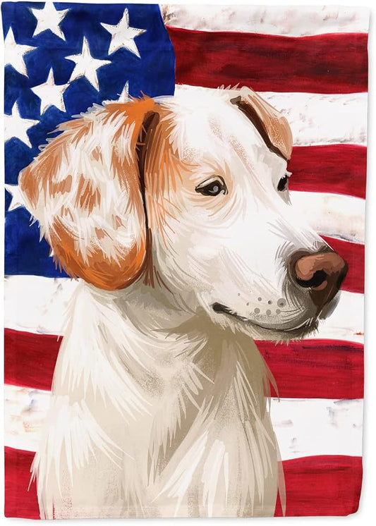 Caroline's Treasures CK6575CHF Istrian Shorthaired Hound American Flag House Flag Large Porch Sleeve Pole Decorative Outside Yard Banner Artwork Wall Hanging, Polyester, House Size, Multicolor