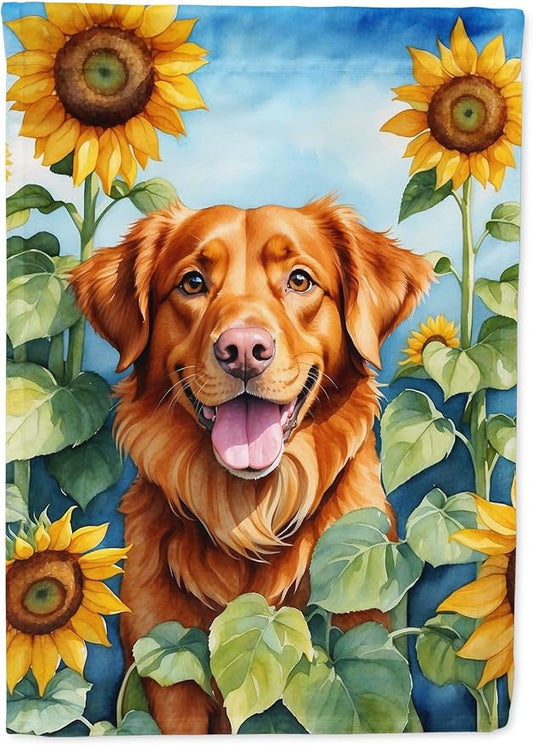 Caroline's Treasures DAC6128CHF Nova Scotia Duck Toller in Sunflowers House Flag Large Porch Sleeve Pole Decorative Outside Yard Banner Artwork Wall Hanging, Polyester, House Size, Multicolor
