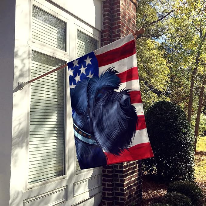 Caroline's Treasures CK6540CHF Giant Schnauzer Dog American Flag House Flag Large Porch Sleeve Pole Decorative Outside Yard Banner Artwork Wall Hanging, Polyester, House Size, Multicolor