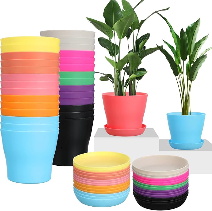 Potchen 4 Inch Plastic Plant Pots Bulk, 33 Pack Small Colorful Planters Pot with Drainage Holes,Seedling Nursery Transplanting Planter Container with Saucers,Flower Pots for Succulents, Cuttings