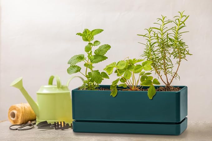 D'vine Dev 12 Inch Window Box Planter, Rectangle Plastic Herb Planter with Drainage Holes and Saucer, Indoor Succulent Cactus Vegetable Pot for Windowsill, Garden Balcony, Green, Set of 2, 76-X-C-2