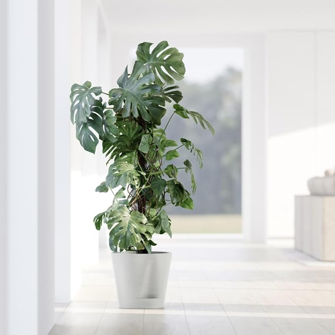 Ecopots Venice 2 Durable Modern Round Indoor/Outdoor Recycled-Based Composite Flower Pot Planter w/Water Reservoir, White Grey, 16"