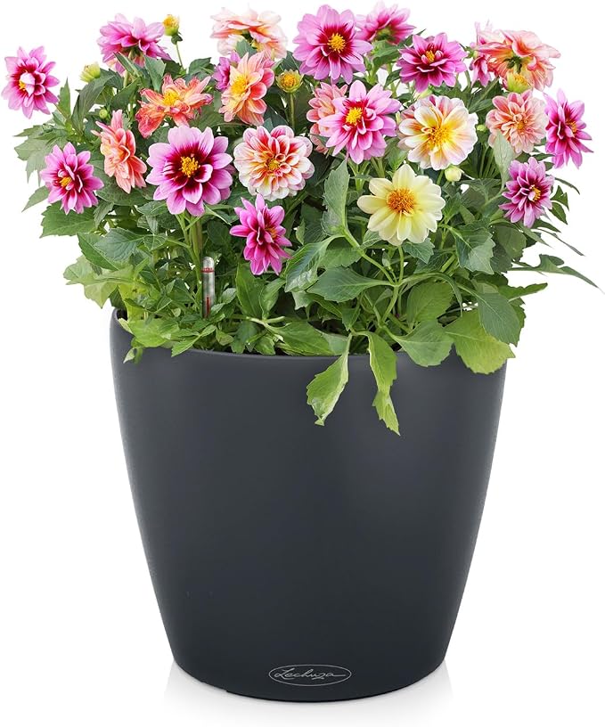 Lechuza Classico Color 18 Garden Small Flower Plant Pot Indoor Outdoor Table Plastic Planter with Drainage Hole D19 H17 cm Slate