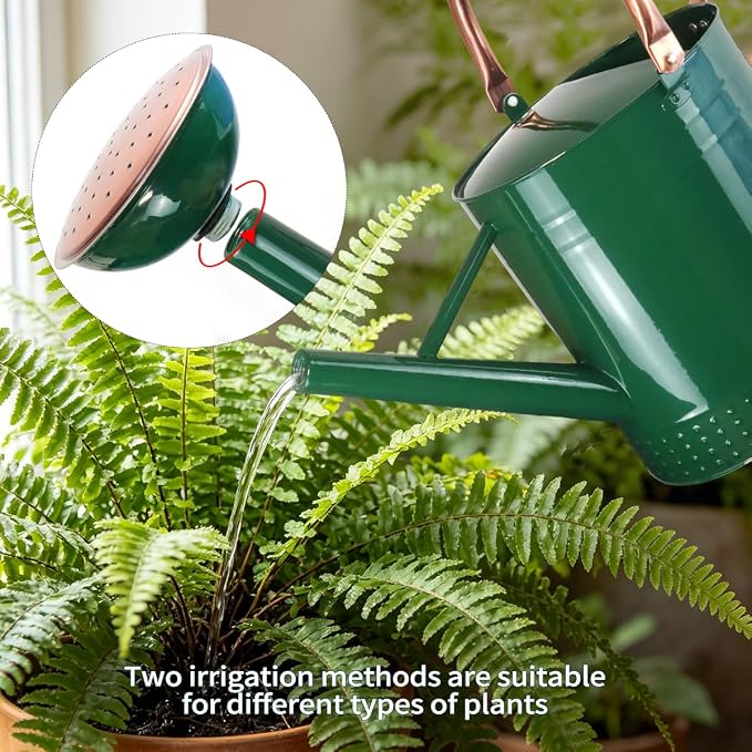 2 Gallon Meltal Garden Watering Can Removable Spout, Galvanized Steel Large Water Can with Embossed Design for Outdoor Indoor Plants (Green, 2 Gallon)