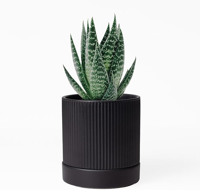 HERDUK Small Plant Pots, 4 Inch Pots for Indoor Plants, Modern Minimalist Ceramic Plant Pots with Drainage Hole & Saucer, Matte Black Set of 2
