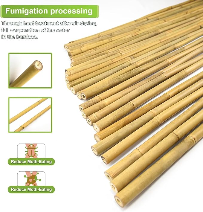 Jollybower 30pcs 3/10" D Thicker Heavy Duty Bamboo Stakes, 2FT Plant Stakes, Natural Garden Stakes for Tomato, Bean, Flowers,Trees Potted and Climbing Plant Support