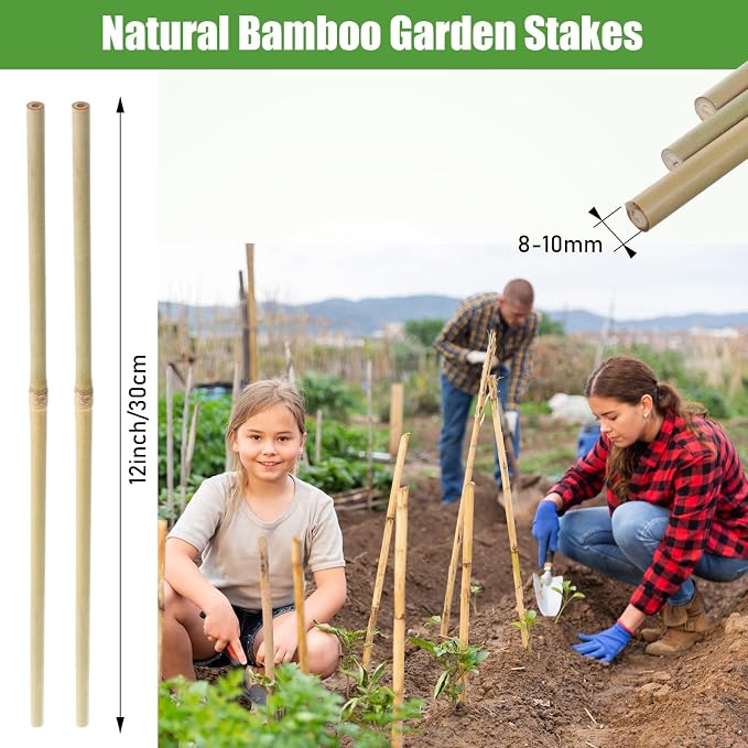 Suclain 30 Pcs Bamboo Plant Stakes Natural Garden Support Sticks for Climbing Plants Sturdy Bamboo Garden Stakes for Tomato, Beans, Flowers and Potted Plants, Vegetables, Indoor & Outdoor (1 ft)